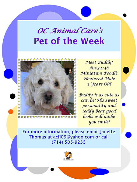 Pet of the Week