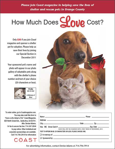 How Much does Love Cost