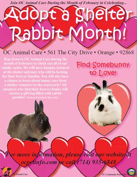 rabbit month