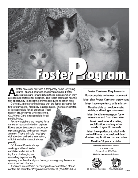 Foster Care