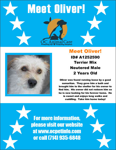 OC Animal Care Pet of the Week