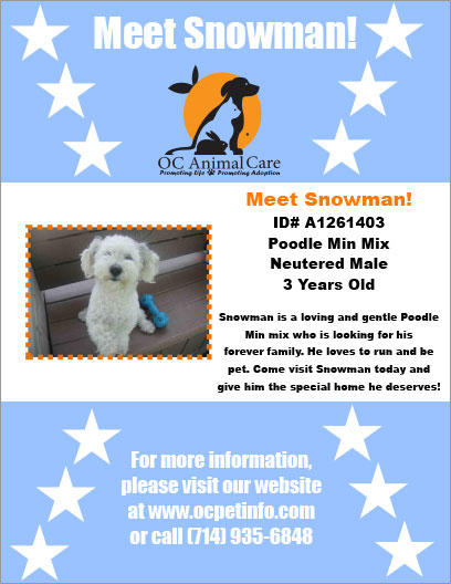 OC Animal Care Pet of the Week