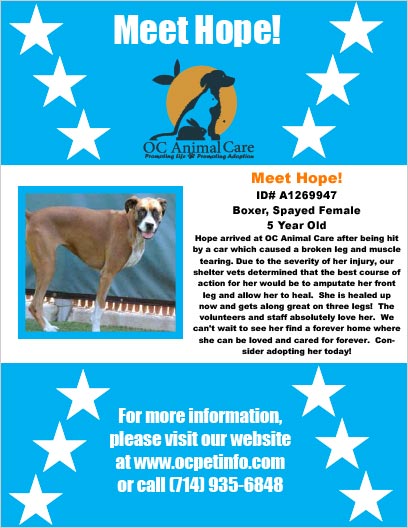 OC Animal Care Pet of the Week