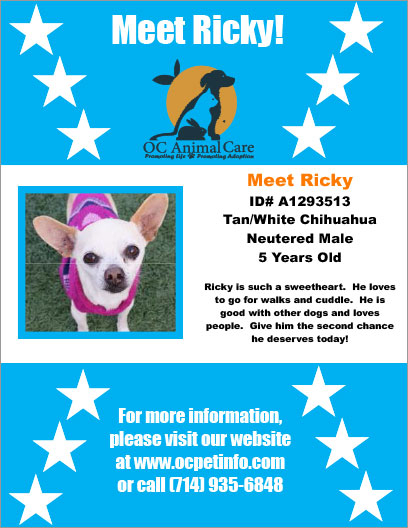 OC Animal Care Pet of the Week