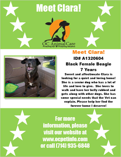 OC Animal Care Pet of the Week