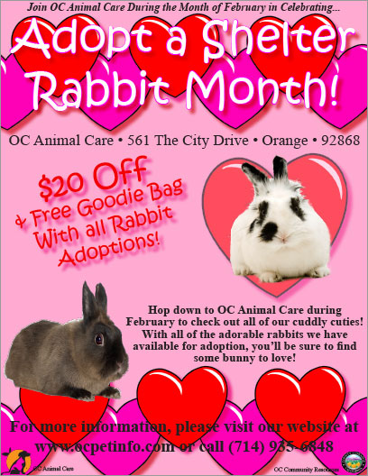 OC Animal Care - Adopt a Rescue Rabbit Month 2014