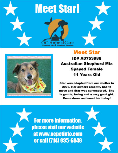 OC Animal Care Pet of the Week