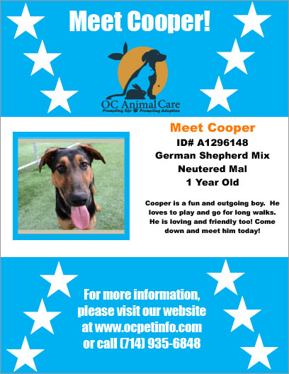 OC Animal Care Pet of the Week