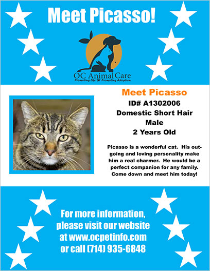 OC Animal Care Pet of the Week