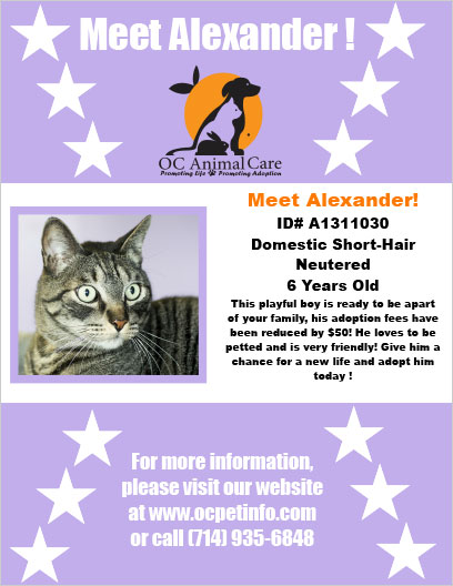 OC Animal Care Pet of the Week