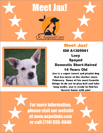 OC Animal Care Pet of the Week