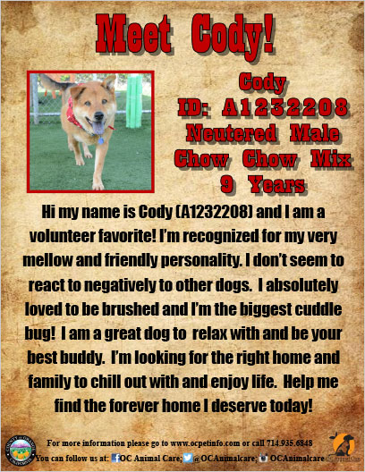 OC Animal Care Pet of the Week