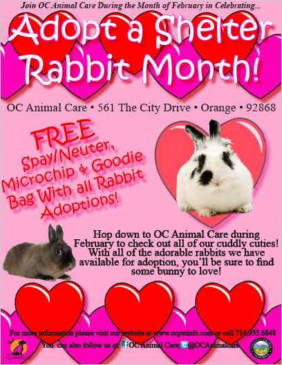 OC Animal Care  - Adopt a Rescure Rabbit Month 2015