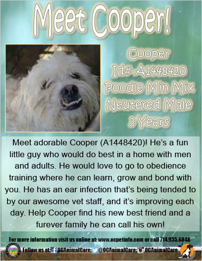 OC Animal Care Pet of the Week