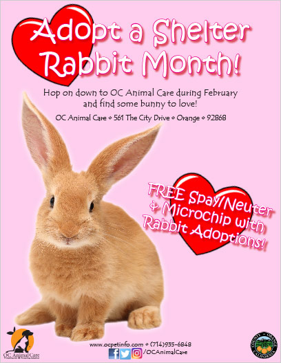 OC Animal Care Event - Adopt a Shelter Rabbit Month