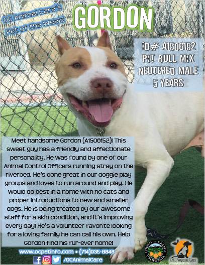 OC Animal Care Pet of the Week