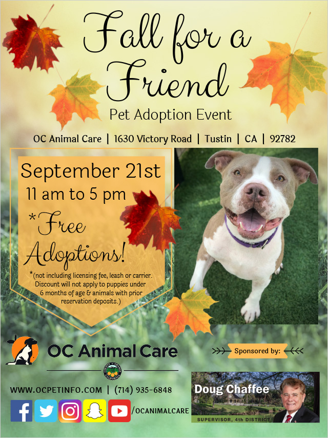 Free Pet Adoptions at District 4 Pet Fair on Sept. 21st