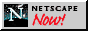 netscp.gif (14939 bytes)