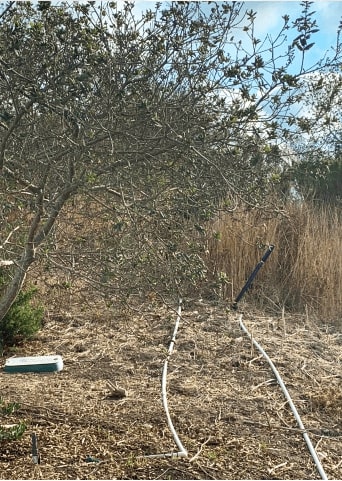 Acres of habitat maintained
